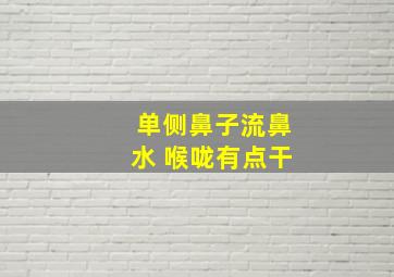 单侧鼻子流鼻水 喉咙有点干